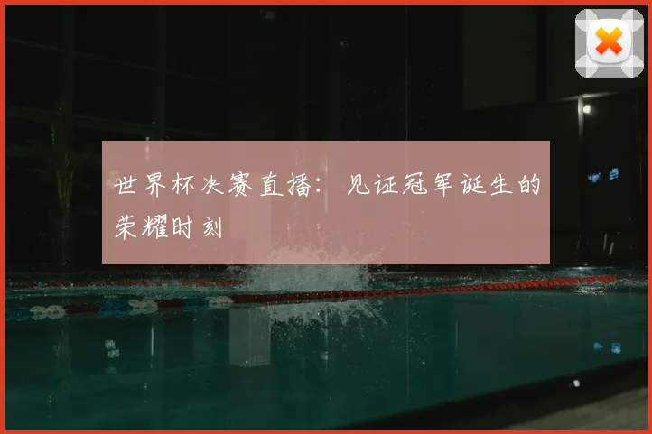 世界杯决赛直播：见证冠军诞生的荣耀时刻