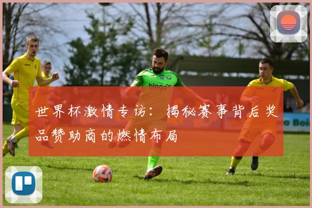 世界杯激情专访：揭秘赛事背后奖品赞助商的燃情布局