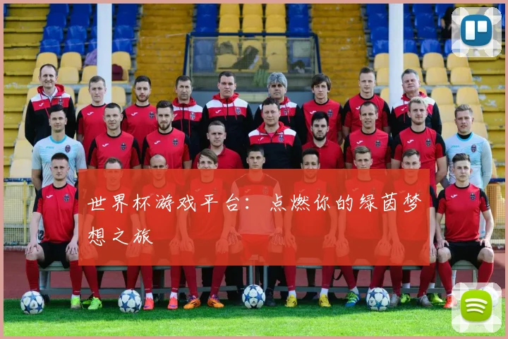 世界杯游戏平台：点燃你的绿茵梦想之旅