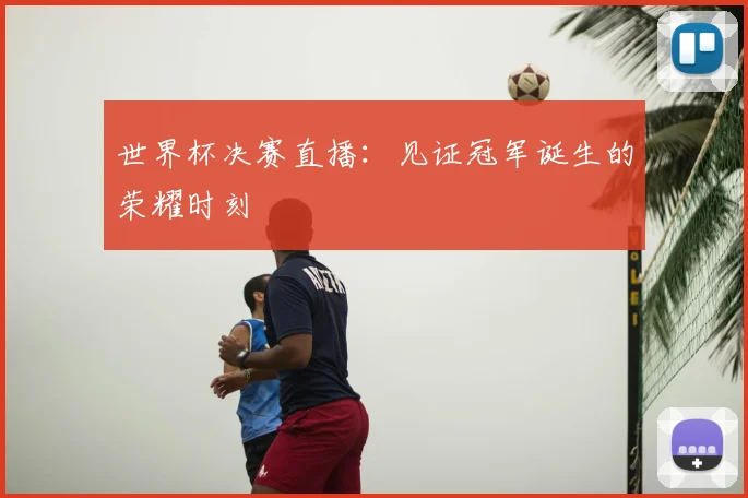 世界杯决赛直播：见证冠军诞生的荣耀时刻