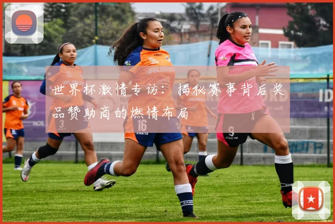 世界杯激情专访：揭秘赛事背后奖品赞助商的燃情布局