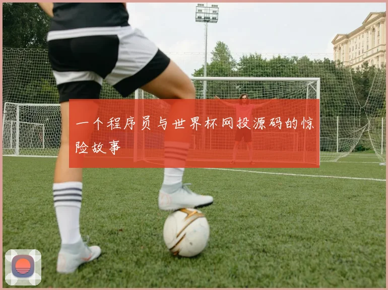 一个程序员与世界杯网投源码的惊险故事